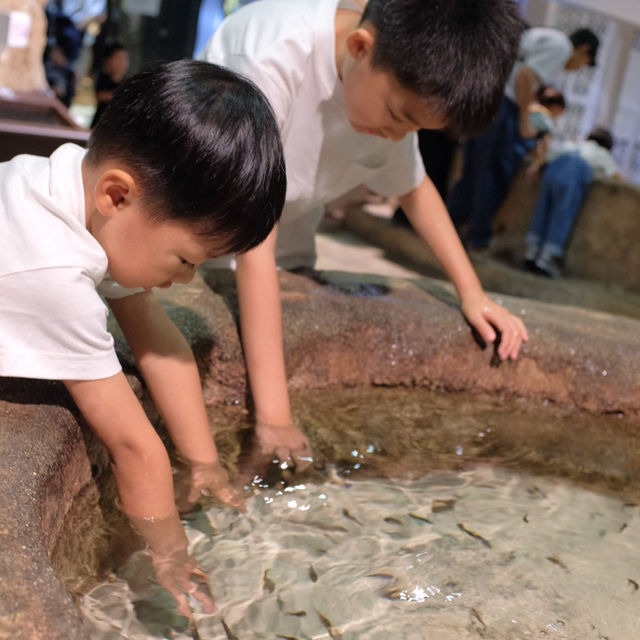 【 超夢幻非一般的海洋體驗 | DMM水族館 】