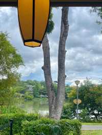 A Mindful Escape in Yishun: Tea, Nature, and a Moment of Stillness