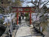 箱根神社，來感受古日本的風情！🇯🇵⛩️
