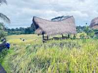 峇里島當地著名景點推薦：Campuhan Ridge Walk，適合拍照打卡親子遊。