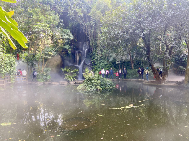 情人節好去處💕廈門園林植物園🌹🌵