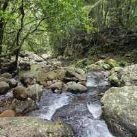 Discovering the Warrie Circuit