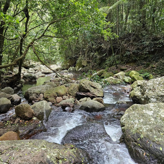 Discovering the Warrie Circuit