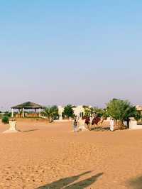 Margham Desert – A Sunrise Adventure from the Skies to the Sands