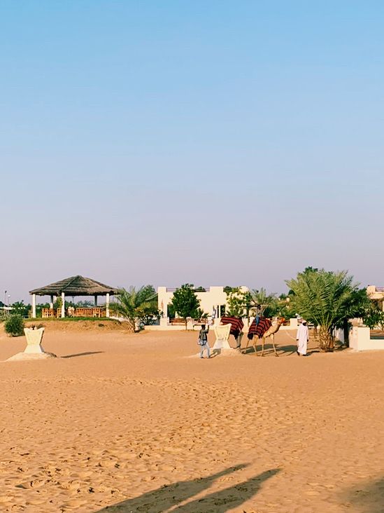 Margham Desert – A Sunrise Adventure from the Skies to the Sands