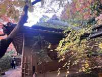 A Sanctuary for the Heartbroken Souls  — The Gio-ji Temple in Arashiyama