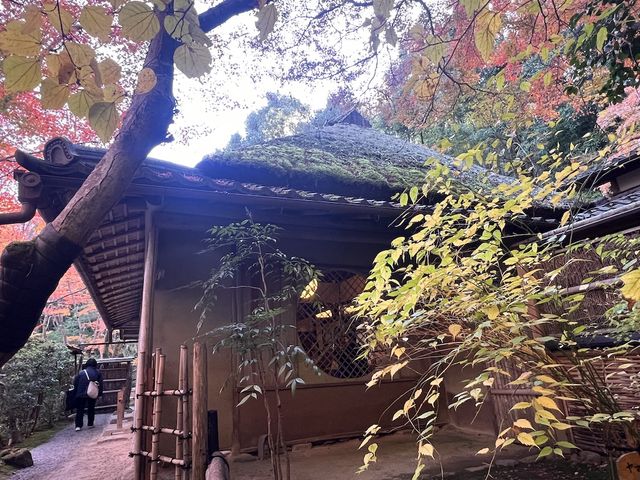 A Sanctuary for the Heartbroken Souls  — The Gio-ji Temple in Arashiyama