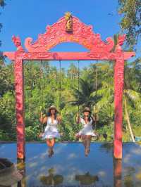 Explore Bali in 8 Tropical and Unforgettable Days