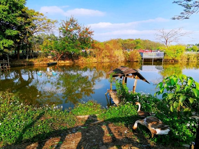 觀瀾版畫村