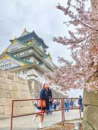 Osaka in Bloom: 2-Day Cherry Blossom Adventure & Universal Studios Magic