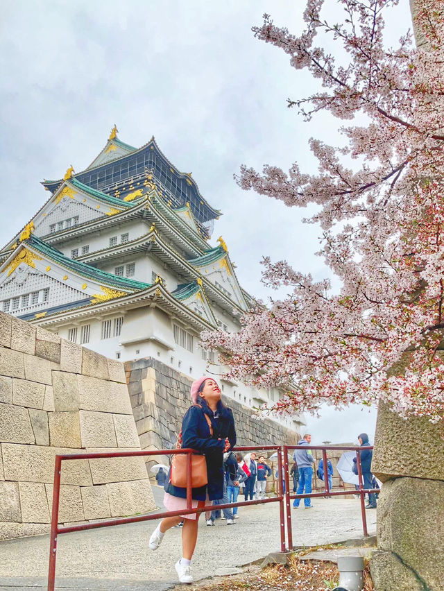 Osaka in Bloom: 2-Day Cherry Blossom Adventure & Universal Studios Magic