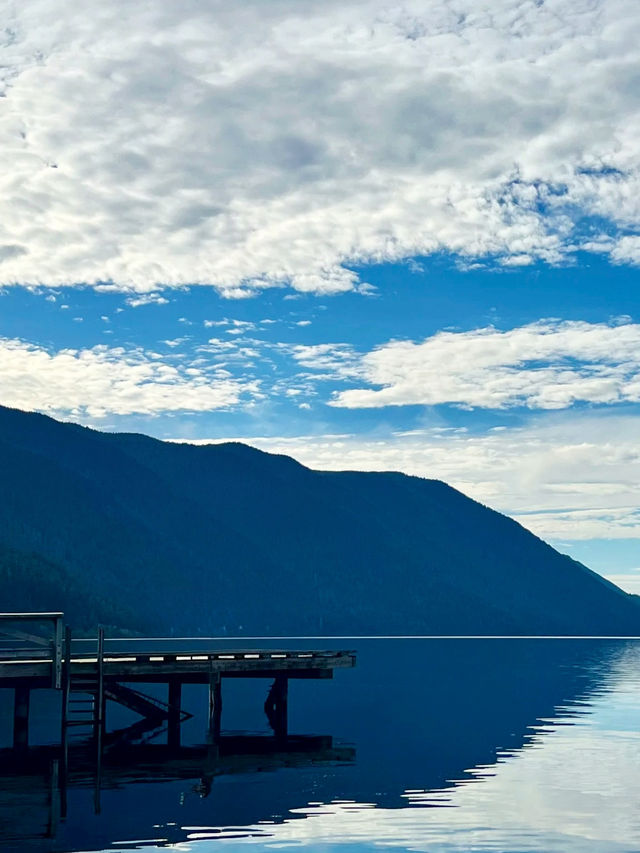 Untamed Wilderness – My Solo Journey Through Olympic National Park