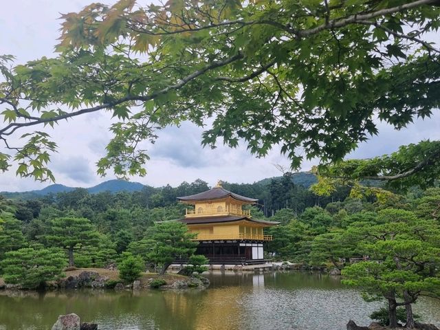 วัดคิงกะกุ金閣寺
