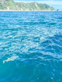天然記念物！鯛の浦で夏の千葉を楽しもう！