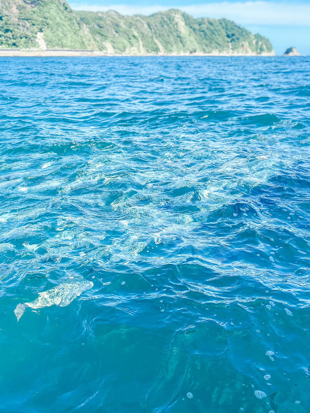 天然記念物！鯛の浦で夏の千葉を楽しもう！