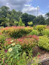 Seminari Sinar Buana: A Bright Yellow Church with a Serene Garden