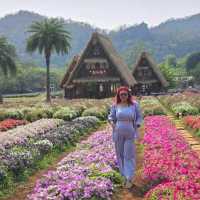 Hokkaido Flower Park Khaoyai