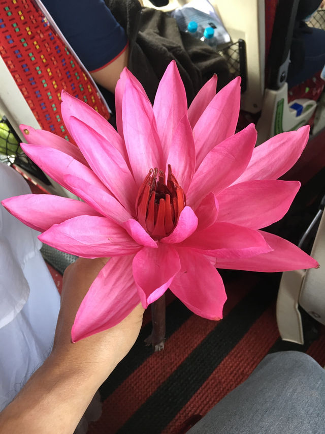 ทัวร์บุญ 4 สังเวชนียสถาน ณ อินเดีย