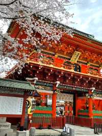 【東京×神田明神の桜】  