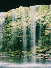 まるで異世界！裏側から眺める絶景🌳