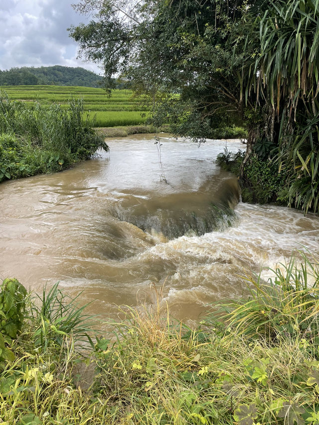 Cooling Off at Wee Kacura – A Waterfall Escape in the Rice Fields 💦🌿