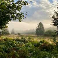 De Biesbosch National Park