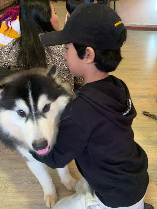 Spending an afternoon at Yangon’s Pet Cafe