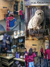Platform 9¾, a must-visit tourist hotspot espeacially Harry Portter fans!