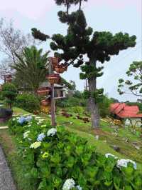 Jerai Hill: A Breathtaking Highland Escape in Kedah