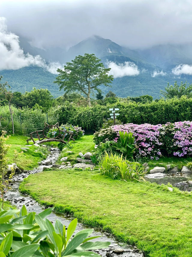 大理貓米花園｜闖入宮崎駿的地方🐱🌿