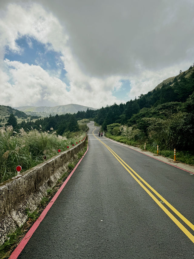 冷水坑步道⛰️芒草季✨