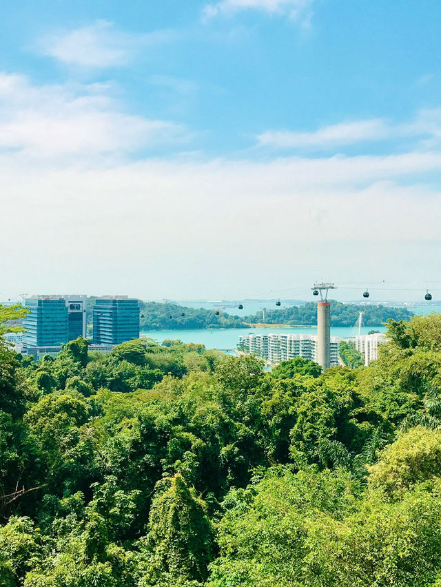 Mount Faber Park: Verdant Spring Escape