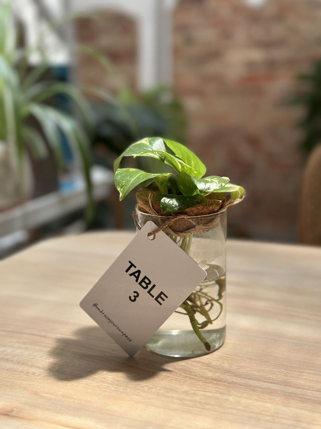 : 페낭 카페 : Pace coffee 노트북 작업하기 좋은 분위기 좋은 카페