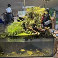 水族館好きな人は絶対に人生で1度は行くべき！色んな動物に出会える鳥羽水族館🥳💖