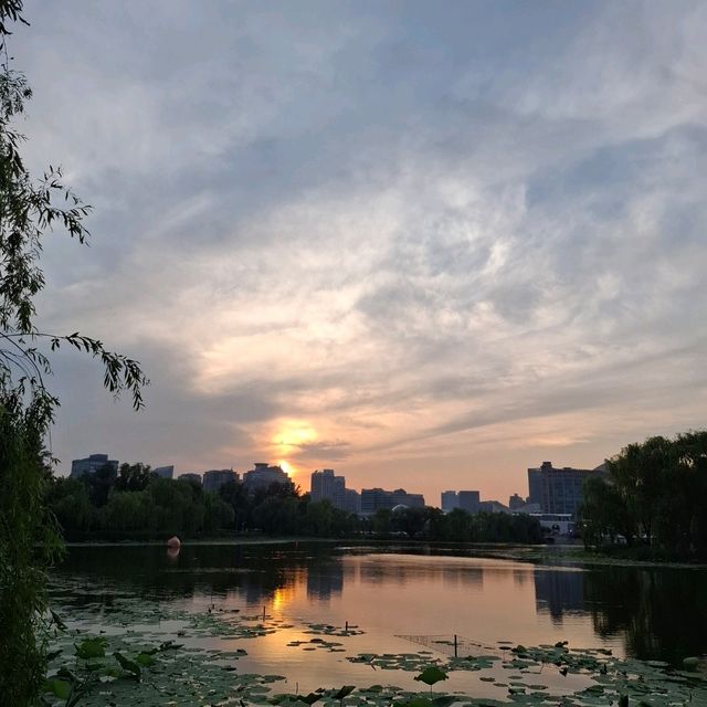 Chaoyang Park Beijing