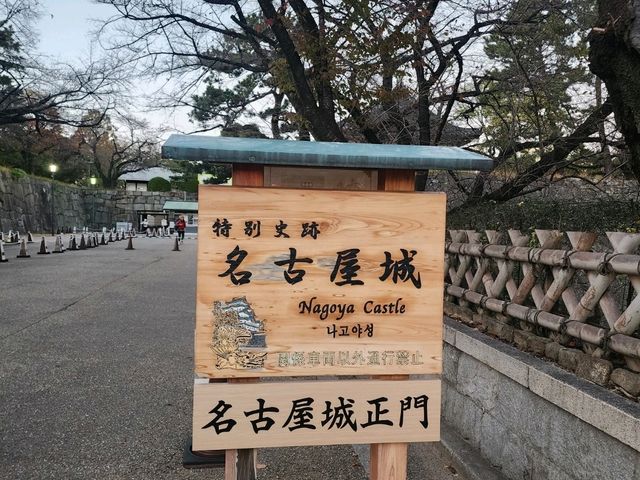 日本美麗古城之一🌸 名古屋城 賞櫻好去處