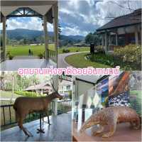แพลนเที่ยวดอยอินทนนท์ 