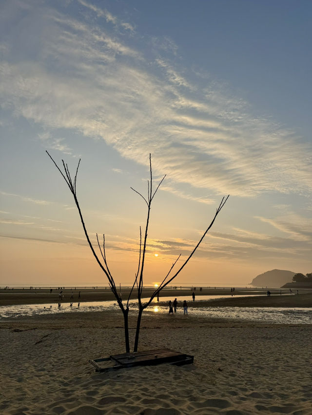 【香川/三豊】まるでウユニ塩湖のような父母ヶ浜