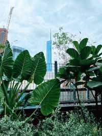 ParkRoyal KL’s Pool is Spring Oasis