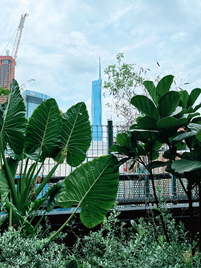 ParkRoyal KL’s Pool is Spring Oasis