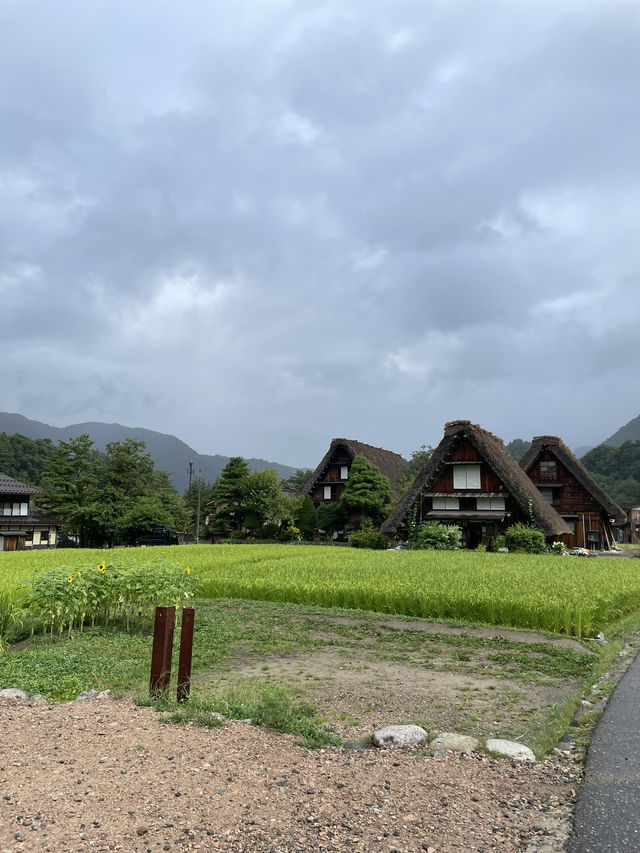 🏔飛騨高山　白川郷🏔´-