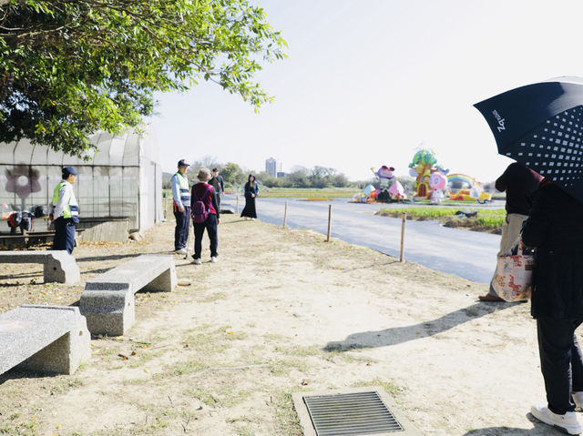 桃園｜桃園秘境花海 溪海花卉園區必玩亮點，賞花、看飛機、親子同樂一次滿足