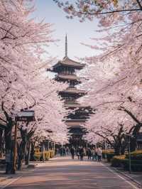 🌸東京上野公園の雲端櫻花季｜避開人潮的絕美打卡攻略🔥