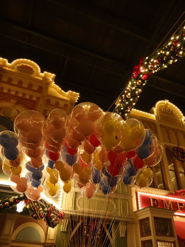 Tokyo Disneyland in December 🎄❄️