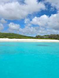 Explore the Untamed Beauty of Española Island! 🌊🐦