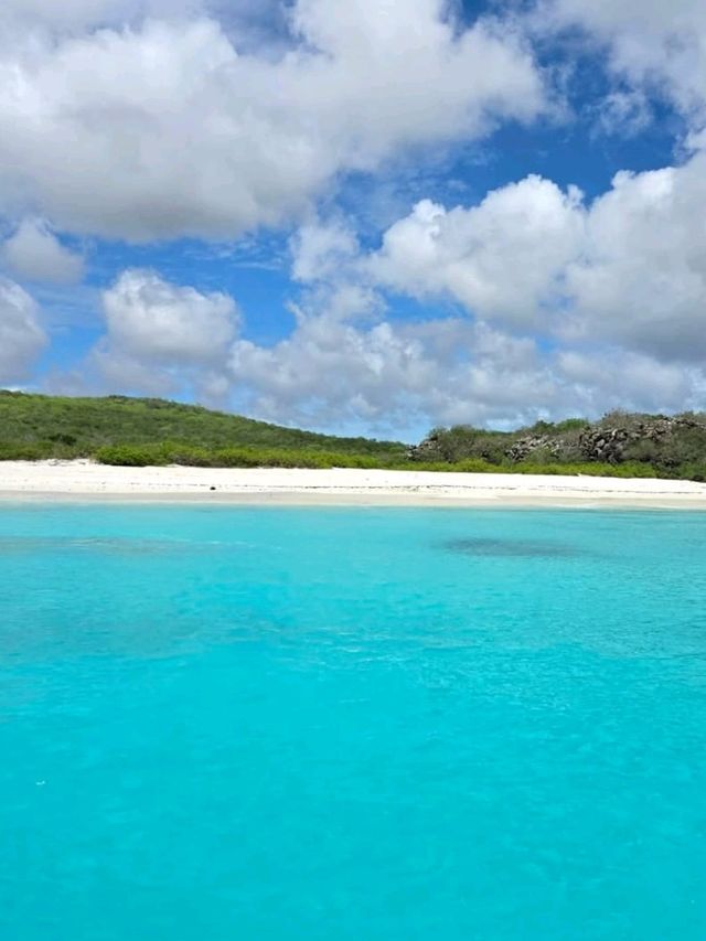 Explore the Untamed Beauty of Española Island! 🌊🐦