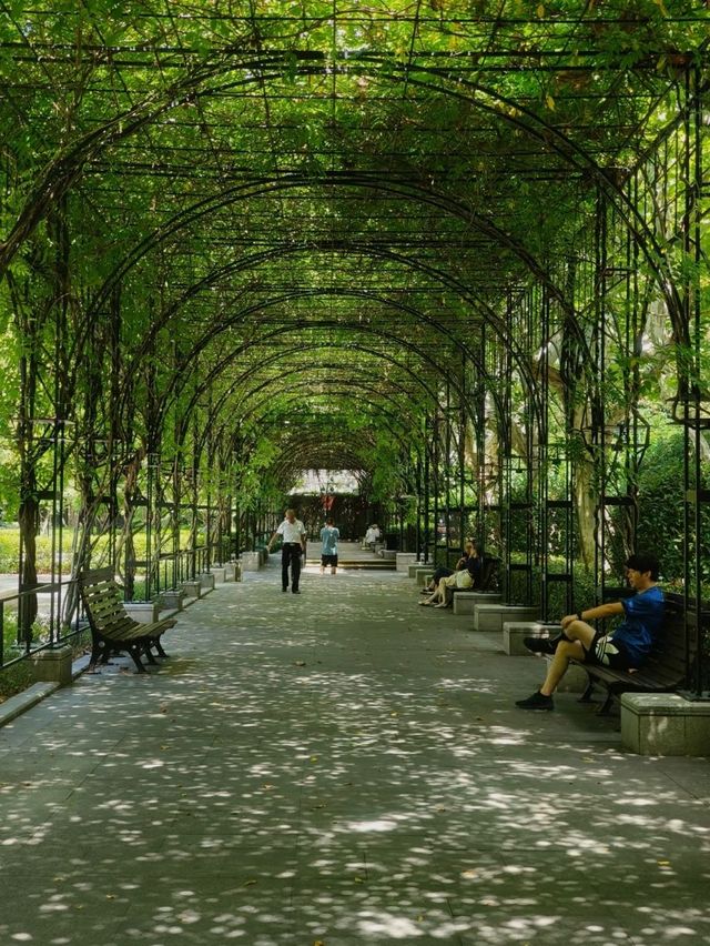 Where Parisian Elegance Meets Old Shanghai's Lively Spirit