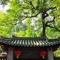 【肇庆周末遊】鼎湖山春日攻略🌸  