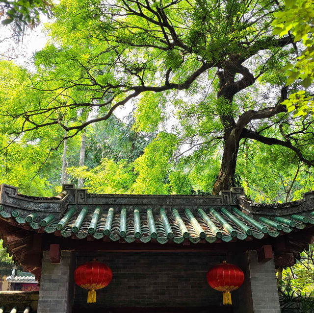 【肇庆周末遊】鼎湖山春日攻略🌸  