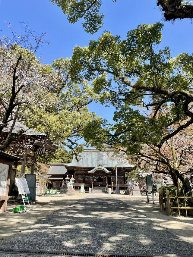 【佐賀観光】川上峡春まつり